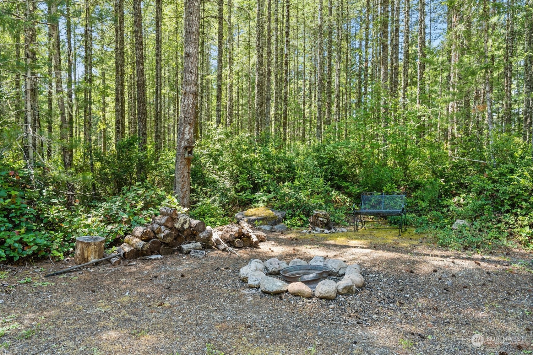 1500 Northeast Bear Ridge Road Belfair, WA 98528 - Photo 28 of 40 a view of a garden with plants