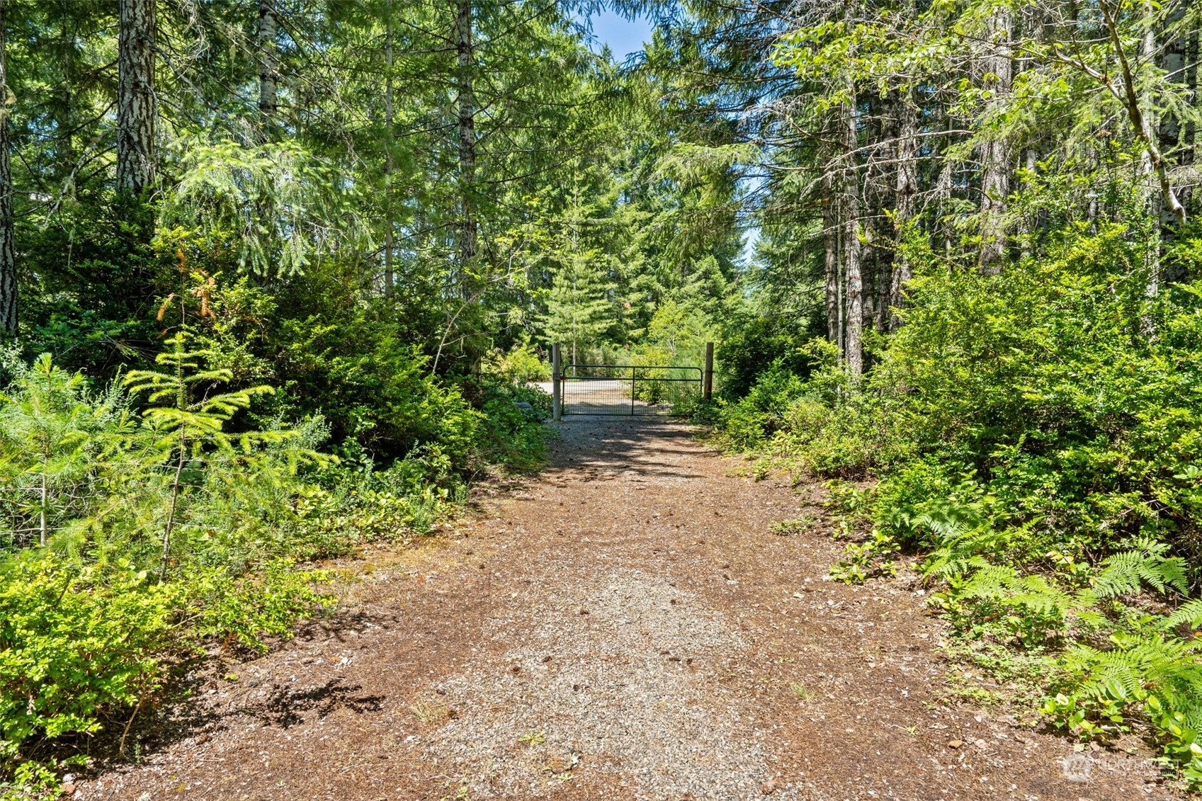 1500 Northeast Bear Ridge Road Belfair, WA 98528 - Photo 34 of 40 a view of a yard with plants and trees