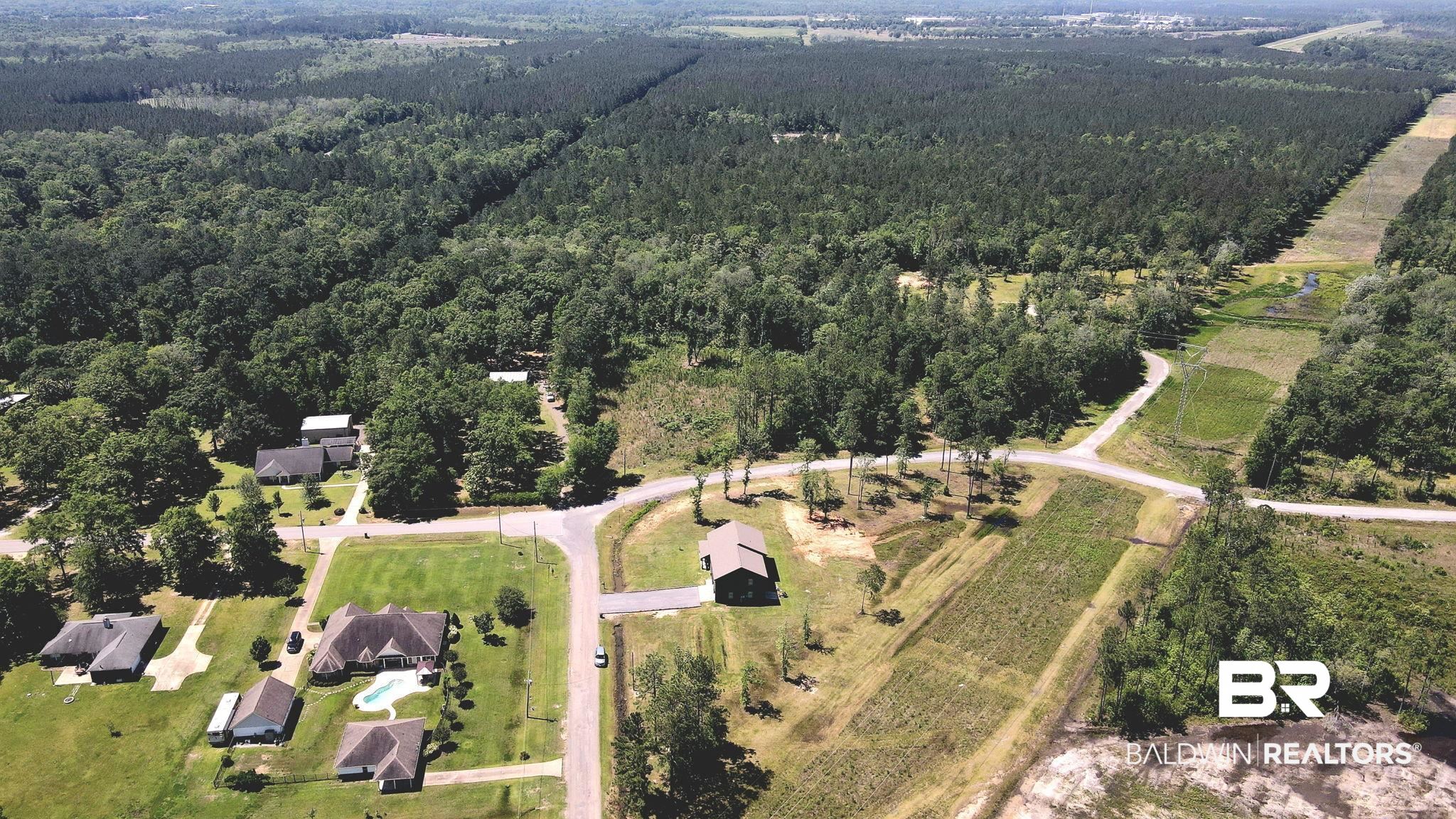 11025 Creax Road Axis, AL 36505 - Photo 40 of 45 Expansive aerial view showcasing multiple residential properties surrounded by mature trees