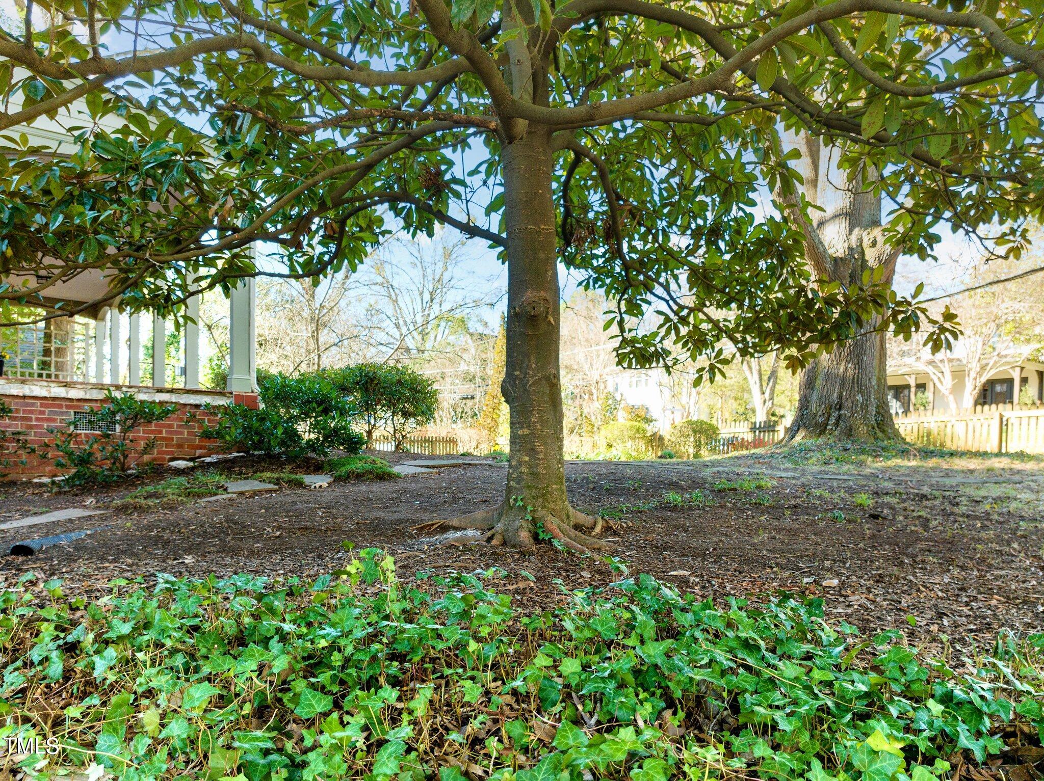228 Furches Street Raleigh, NC 27607 - Photo 60 of 65 a view of a yard with plants tree