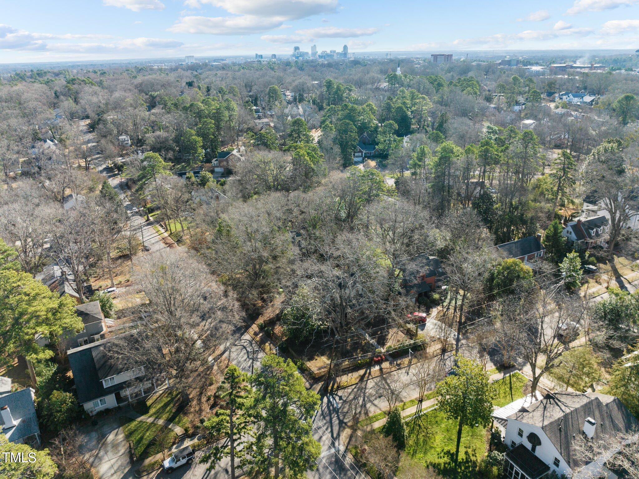 228 Furches Street Raleigh, NC 27607 - Photo 62 of 65 a view of a field with mountains in the background