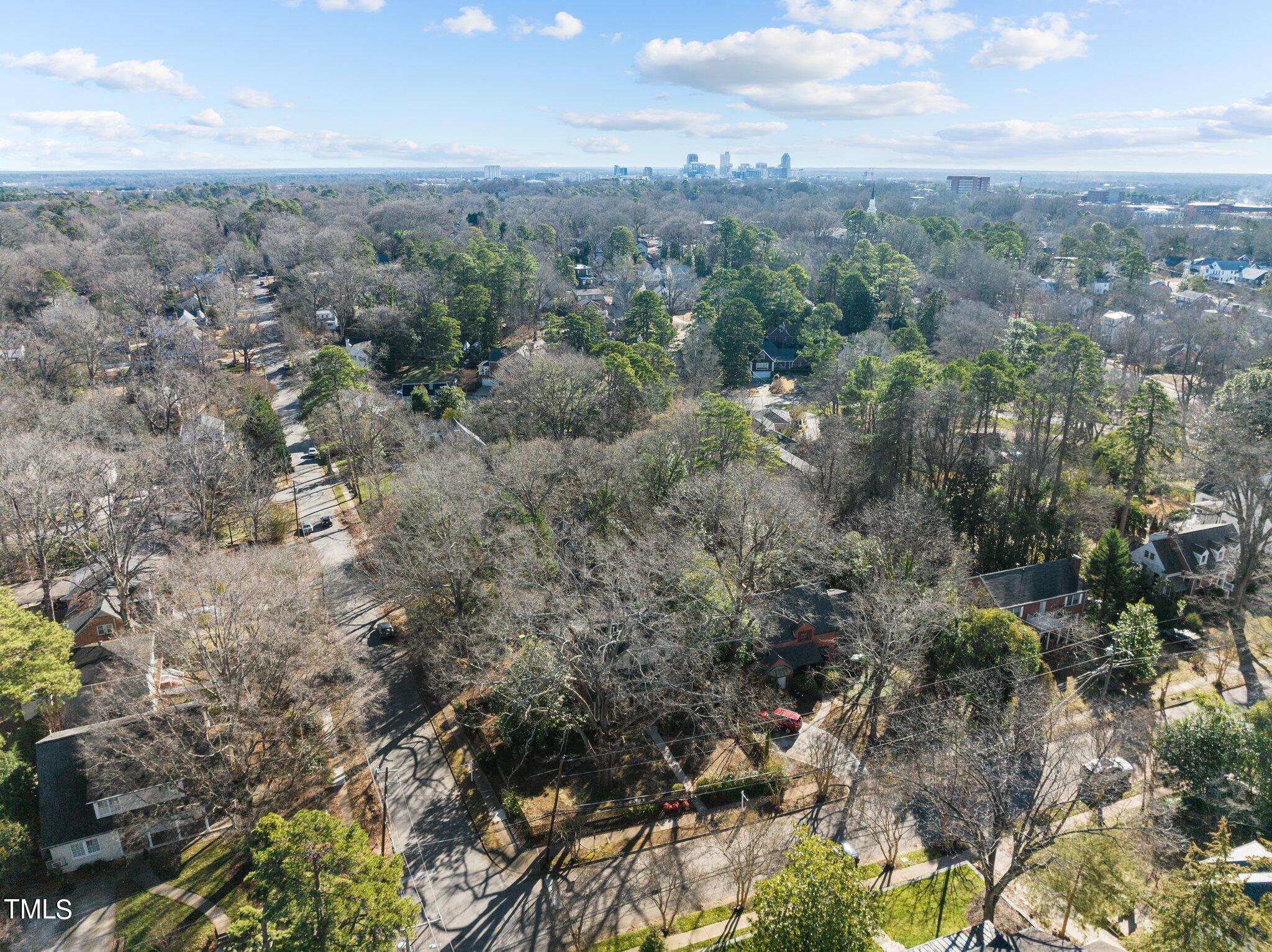 228 Furches Street Raleigh, NC 27607 - Photo 63 of 65 a view of a city with lush green forest