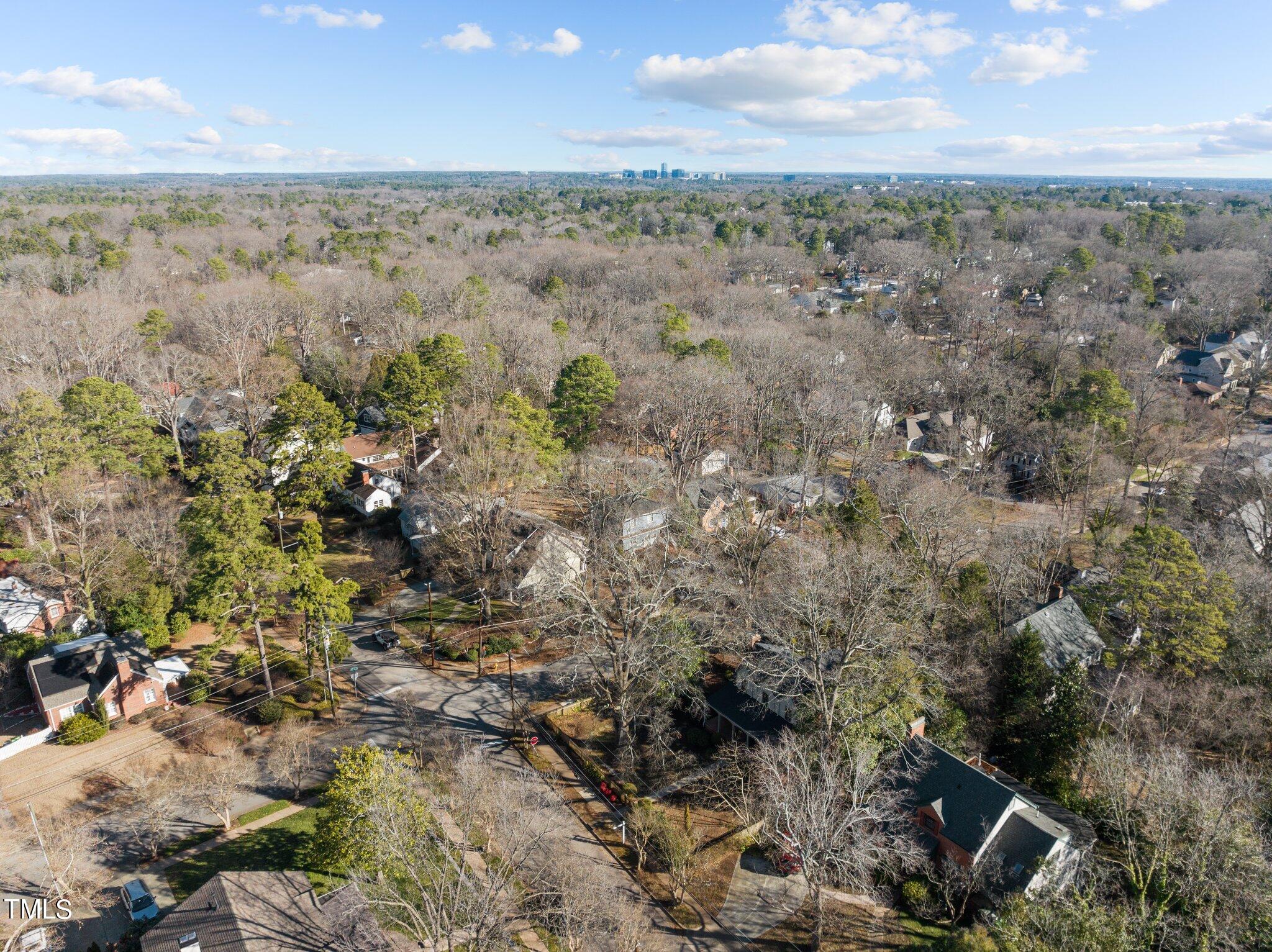 228 Furches Street Raleigh, NC 27607 - Photo 65 of 65 a view of outdoor space and mountain view