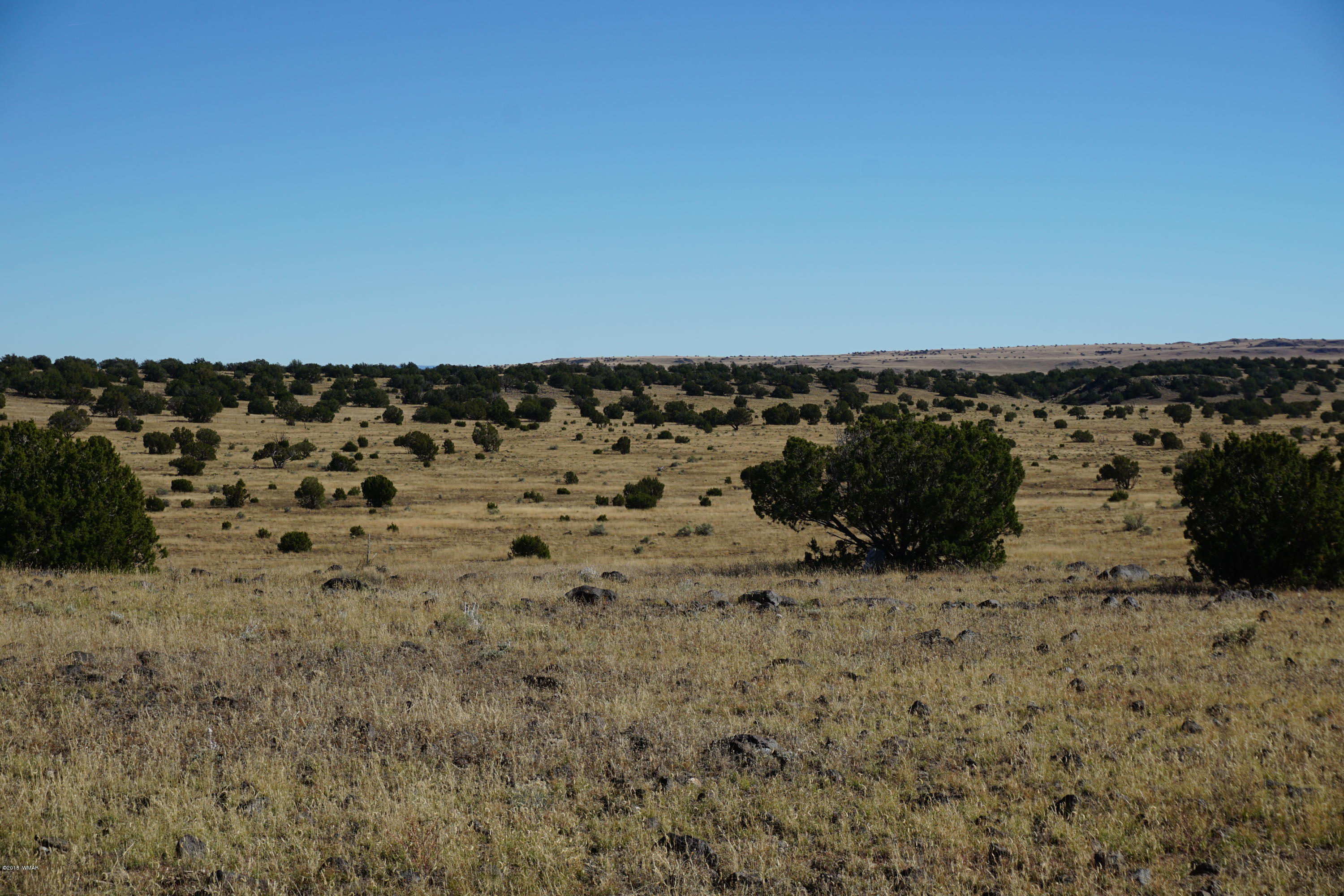 Lot 1 Cedar Gulch Ranch Concho, AZ 85924 - Photo 2 of 6