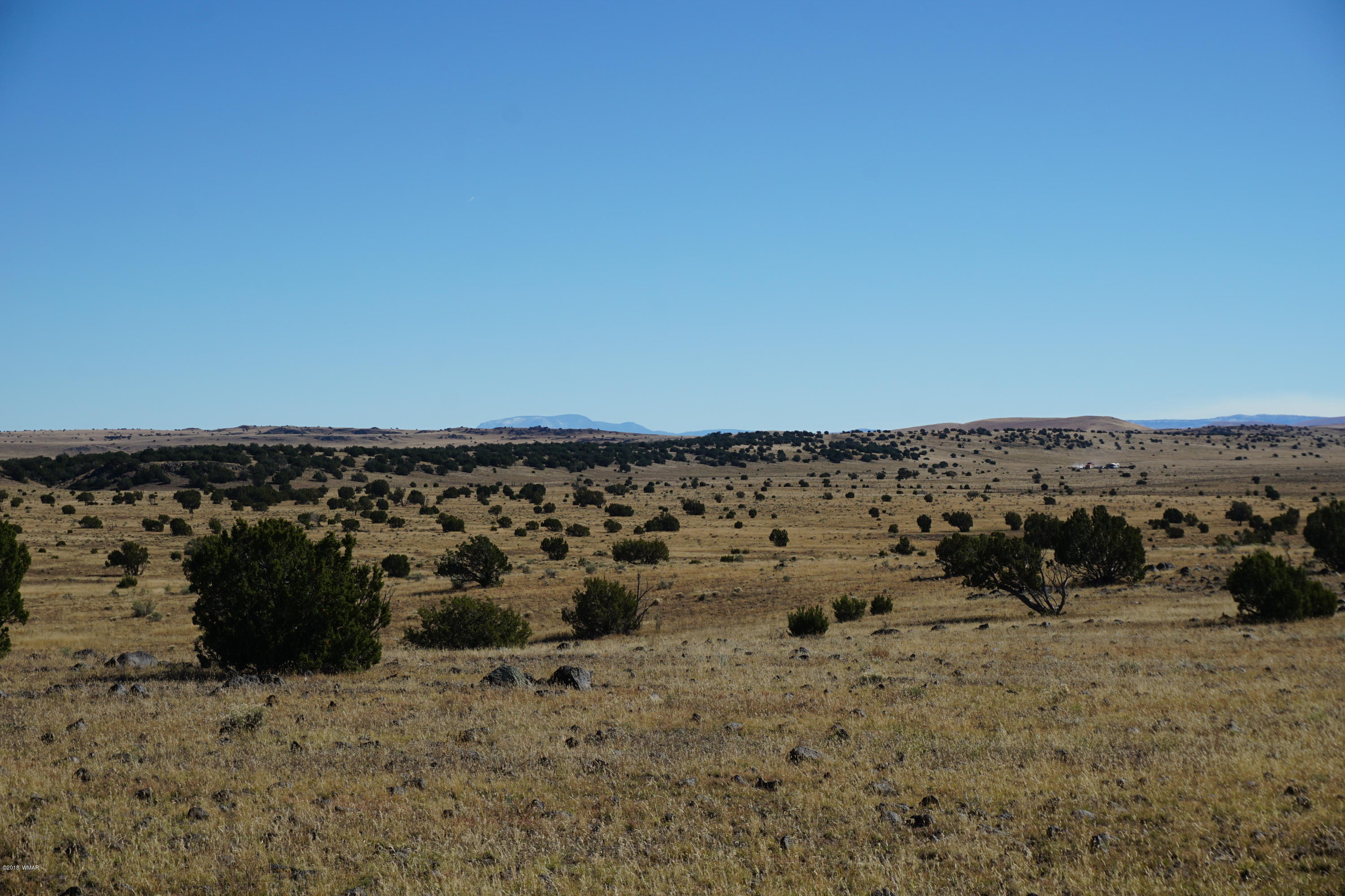 Lot 1 Cedar Gulch Ranch Concho, AZ 85924 - Photo 3 of 6