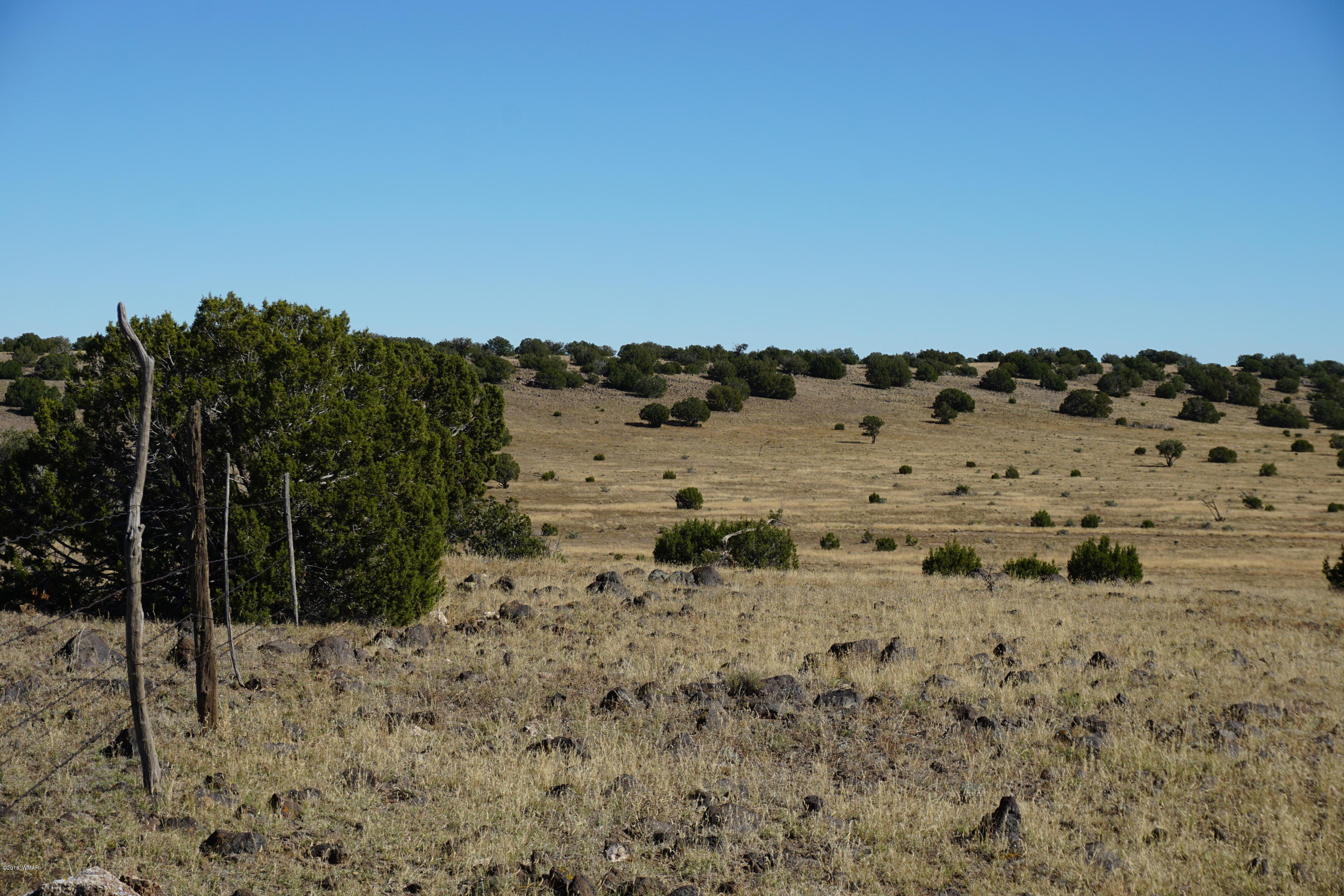 Lot 1 Cedar Gulch Ranch Concho, AZ 85924 - Photo 4 of 6
