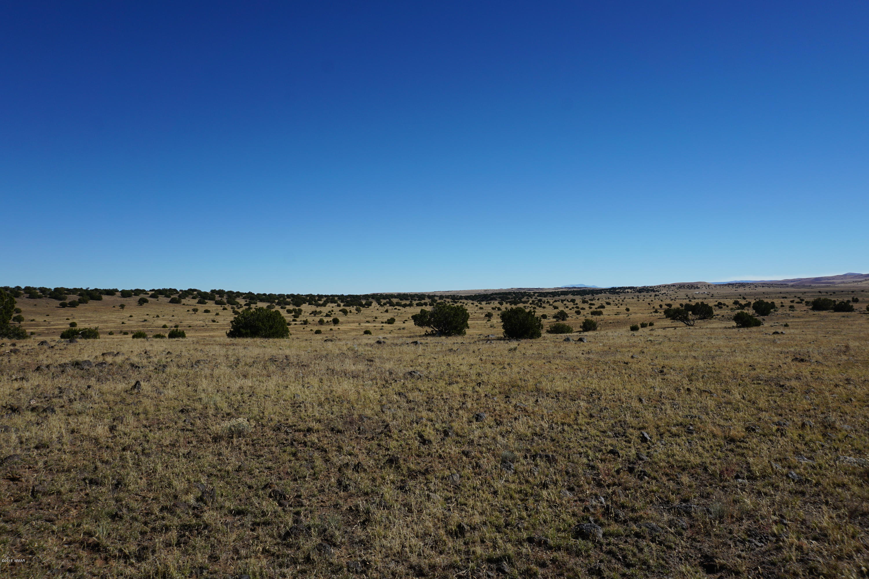 Lot 1 Cedar Gulch Ranch Concho, AZ 85924 - Photo 5 of 6
