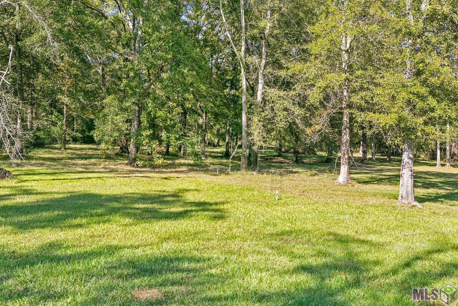 11759 Blackwater Road Baker, LA 70714 - Photo 4 of 35 Acreage behind the house