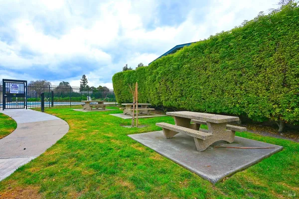 a view of a garden with a slide