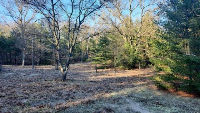 V/l Crystal Lake Road Whitehall, MI 49461 - Photo 1 of 9 725387470