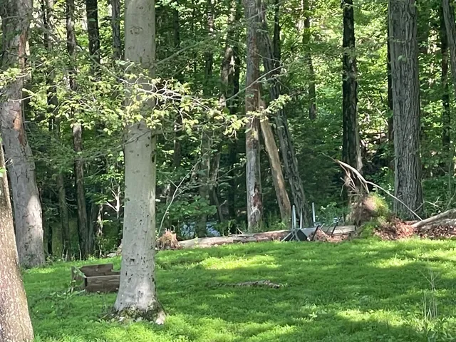 $4,950 | 15 Plumtree Lane, Easton, CT 06612