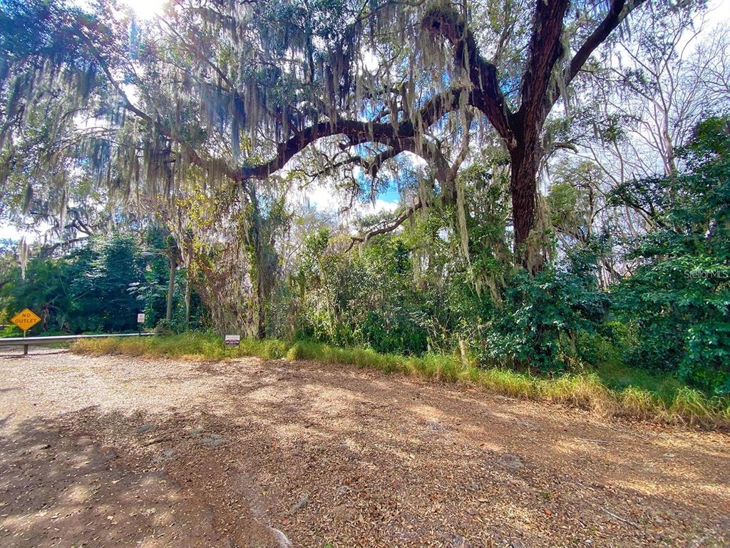 3rd Street Montverde, FL 34756 - Photo 2 of 15