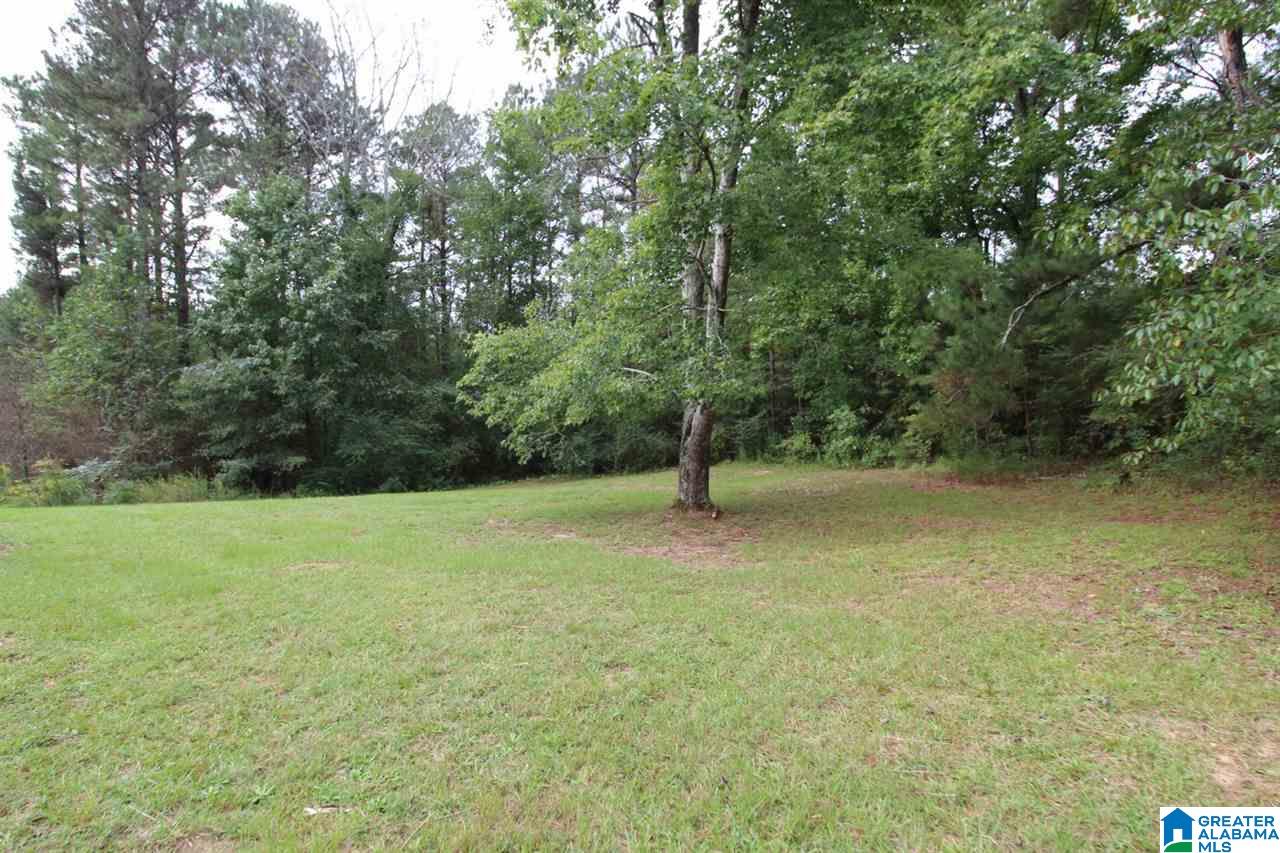 2222 Fat Dunn Road Hayden, AL 35079 - Photo 24 of 27