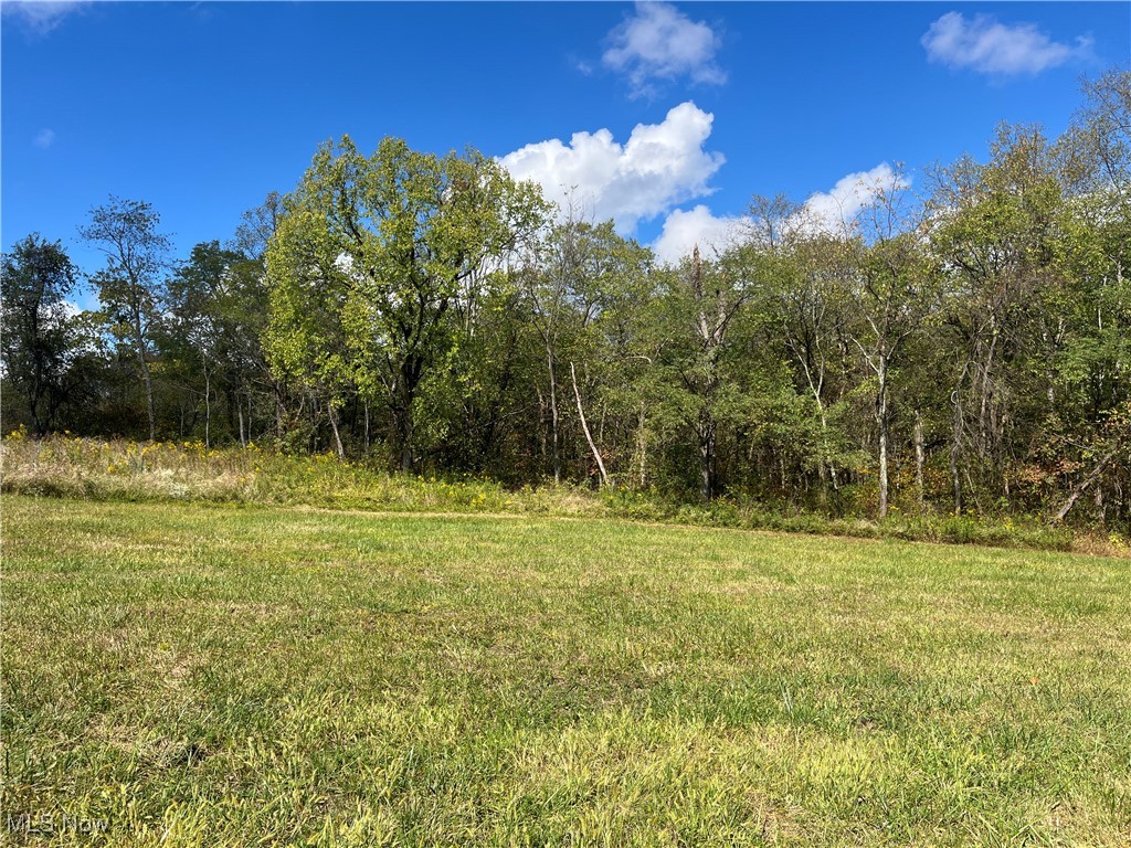 71330 Old Twenty One Road Kimbolton, OH 43749 - Photo 7 of 49