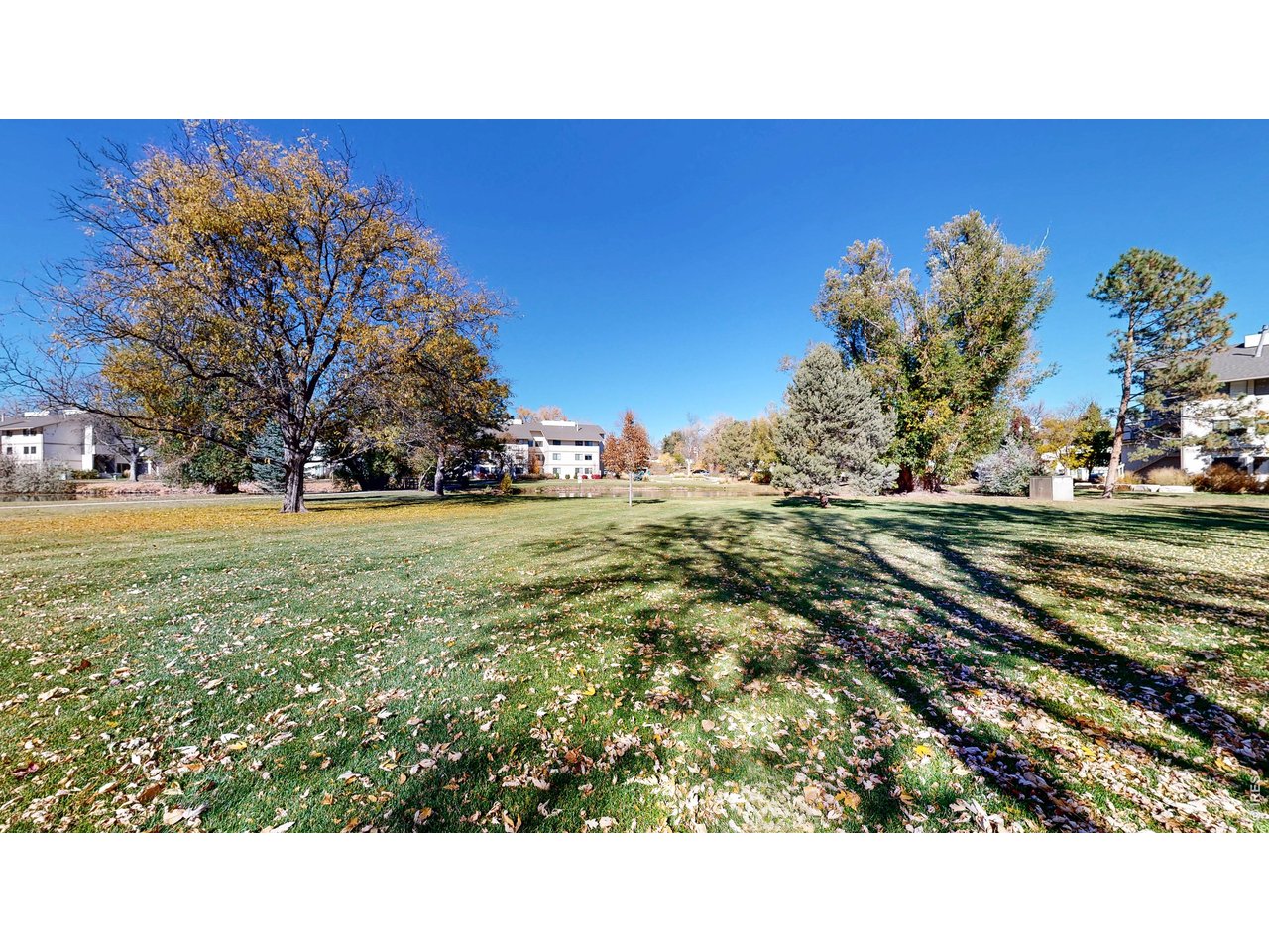 1705 Heatheridge Road, Unit G302 Fort Collins, CO 80526 - Photo 22 of 31 a open area with lots of trees