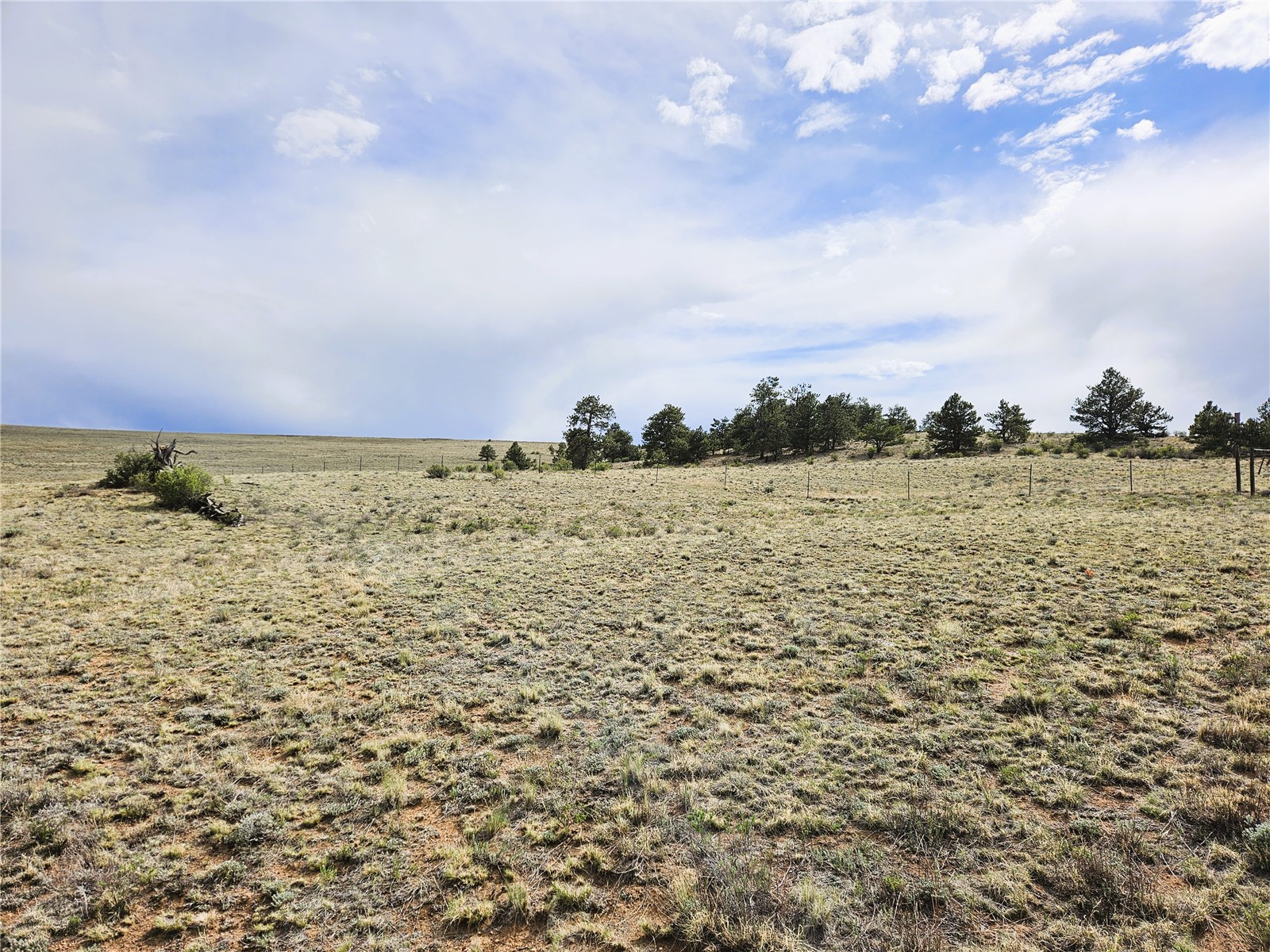 Pcs#24131 Chato Road Hartsel, CO 80449 - Photo 9 of 28