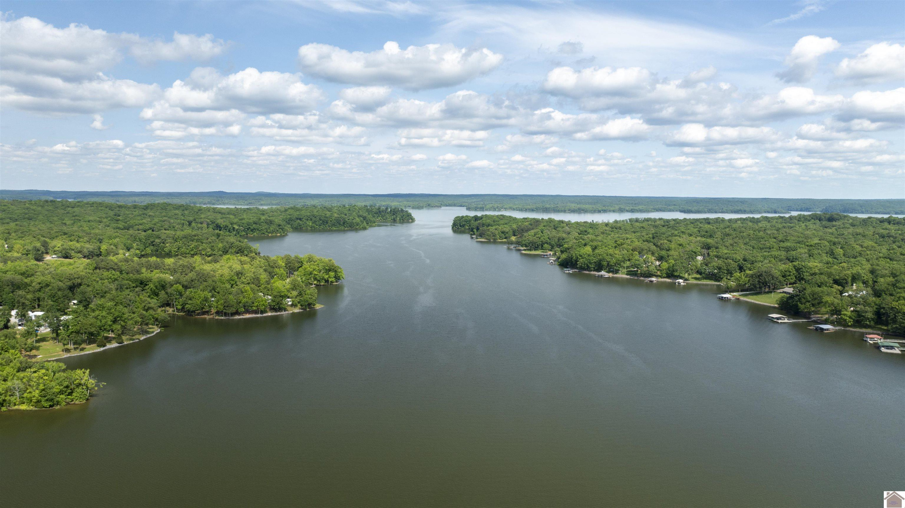 2664 Cypress Trail New Concord, KY 42076 - Photo 29 of 33 Photo 31