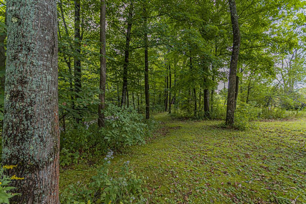 10 Tobin Flat Road Wilton, ME 04294 - Photo 42 of 45 photo-16