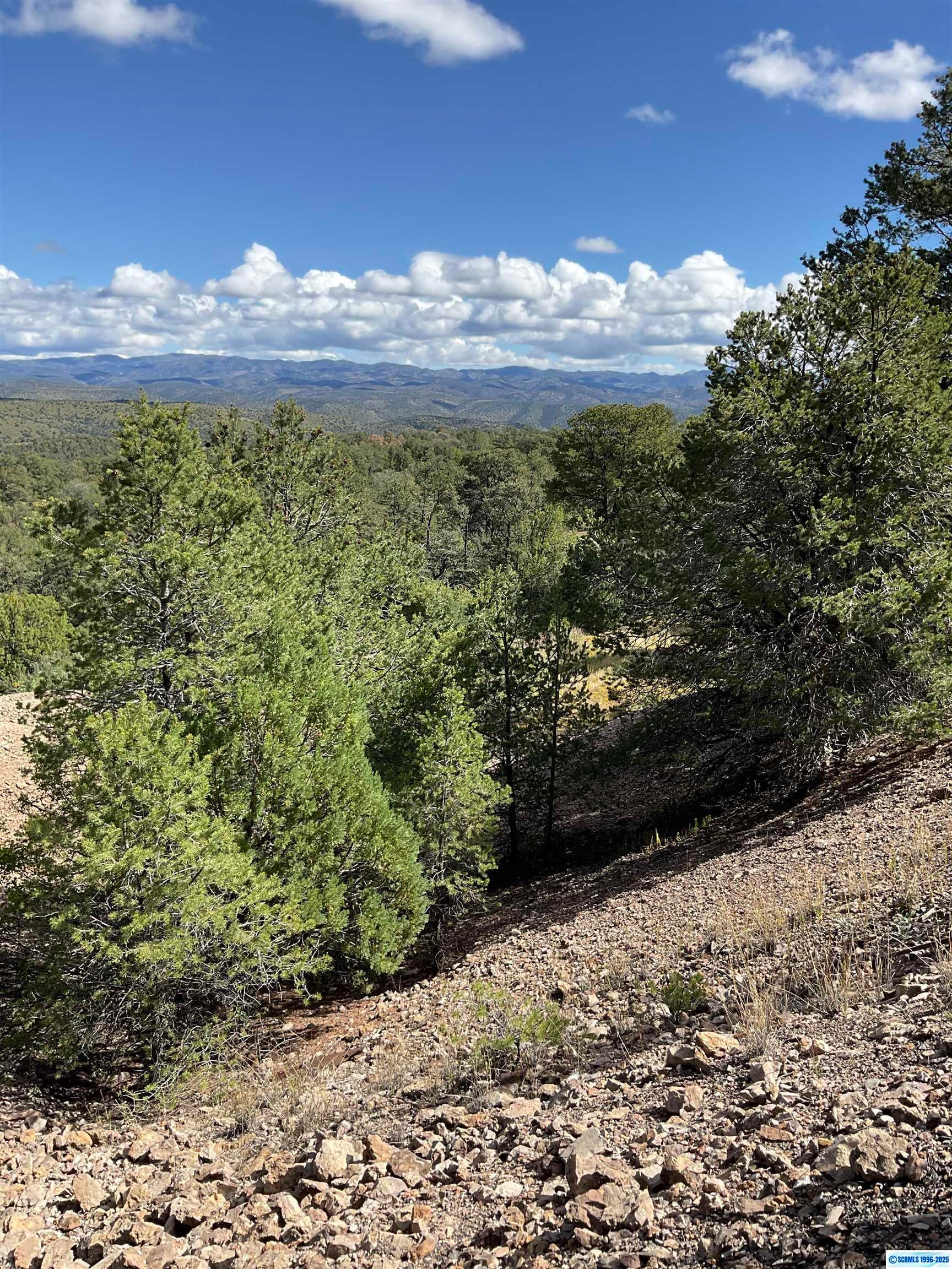 7-xxxx Georgetown Road, Unit LUCAS MINE Mimbres, NM 88049 - Photo 1 of 1 Gallery Image 1