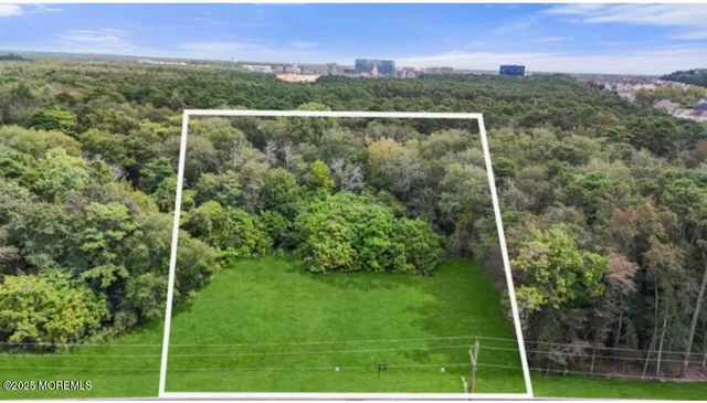 a view of a field with a tree