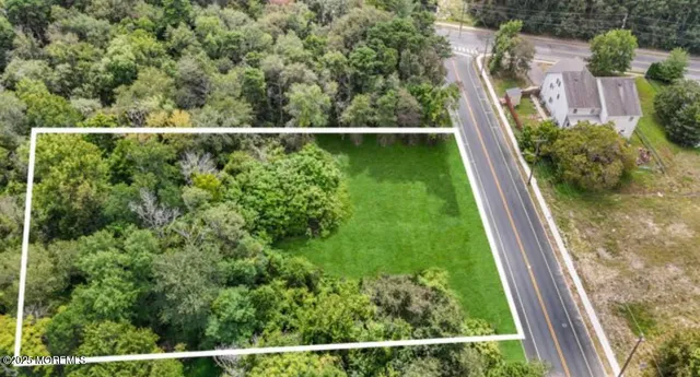 a view of a yard with plants