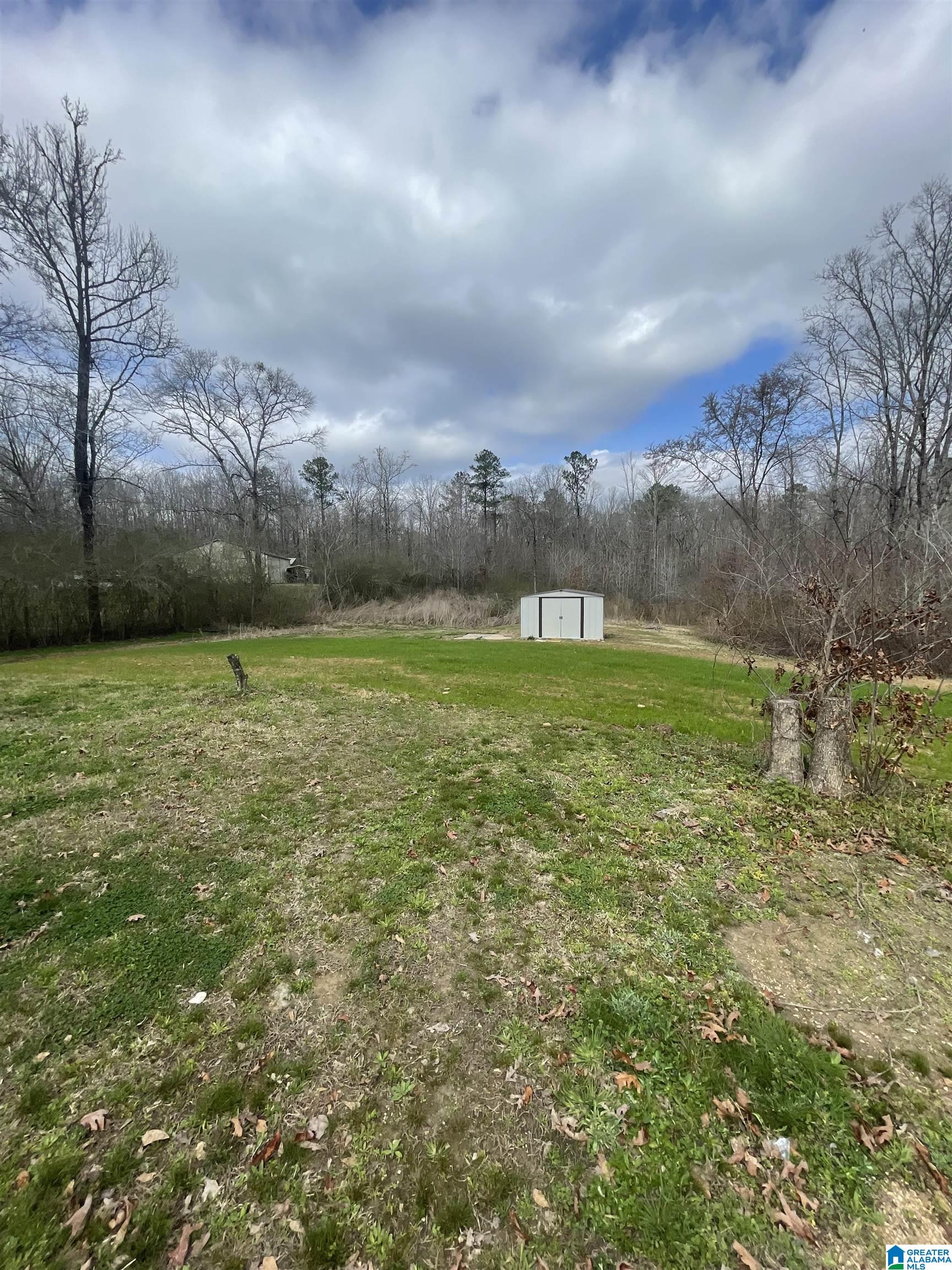 245 Old Eason Road Pell City, AL 35128 - Photo 22 of 22