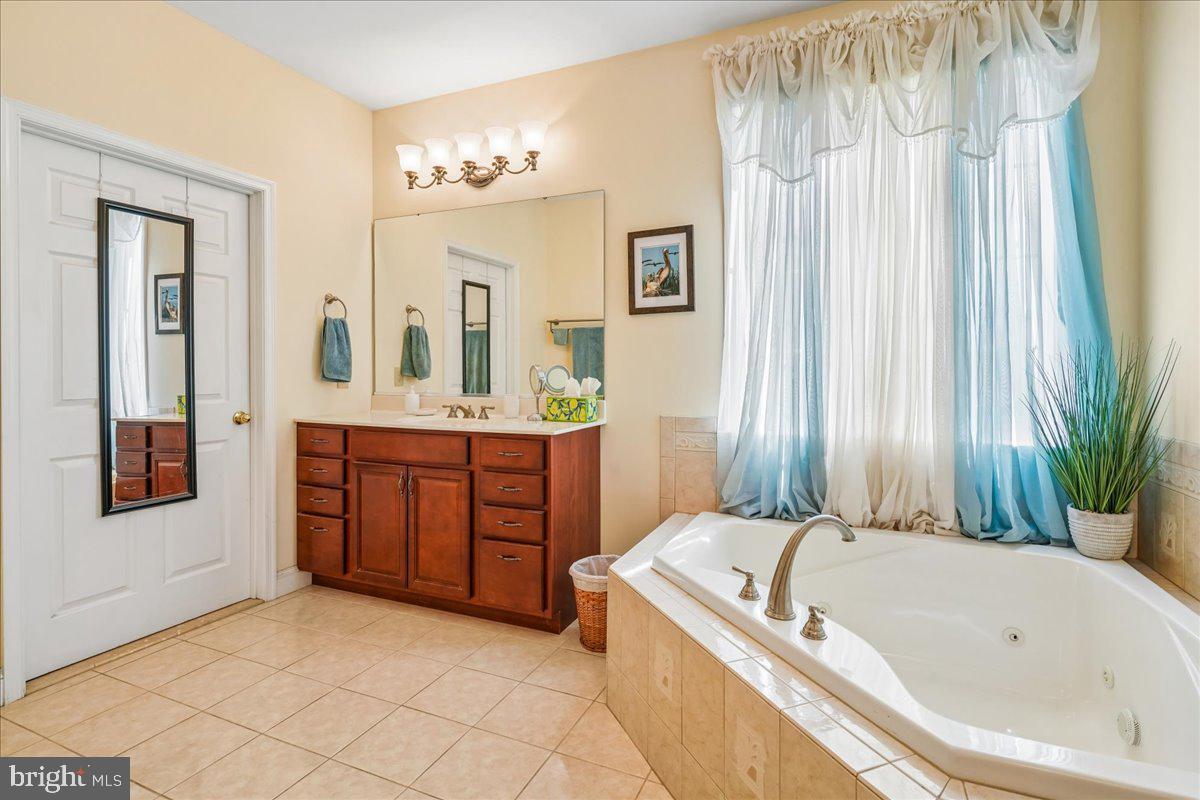 12195 Potomac View Road Newburg, MD 20664 - Photo 21 of 91 a bathroom with a tub a sink and a large mirror
