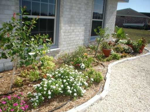 13965 Windjammer Drive Corpus Christi, TX 78418 - Photo 2 of 10 a view of a backyard with potted plants