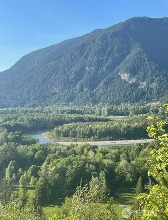 a view of a lush green field with lots of bushes