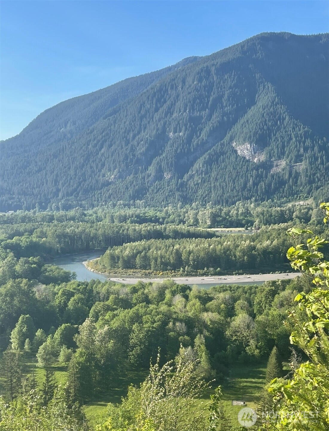 a view of a lush green field with lots of bushes