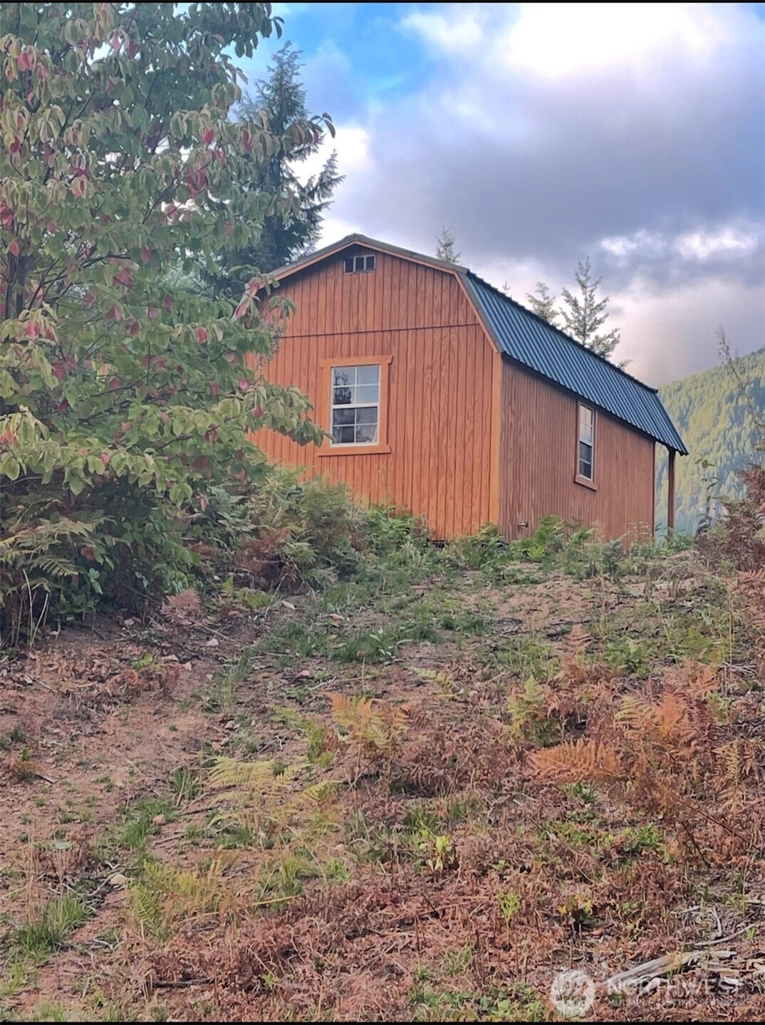 1102 Cline Road Randle, WA 98377 - Photo 14 of 22 a view of a backyard of the house