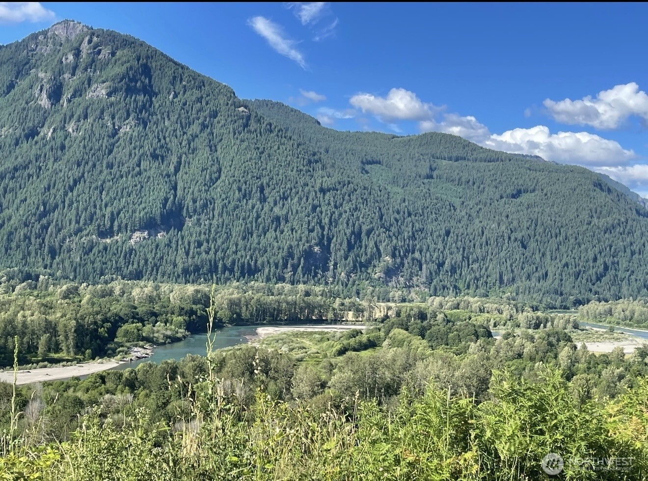 1102 Cline Road Randle, WA 98377 - Photo 2 of 22 a view of a yard with a large tree
