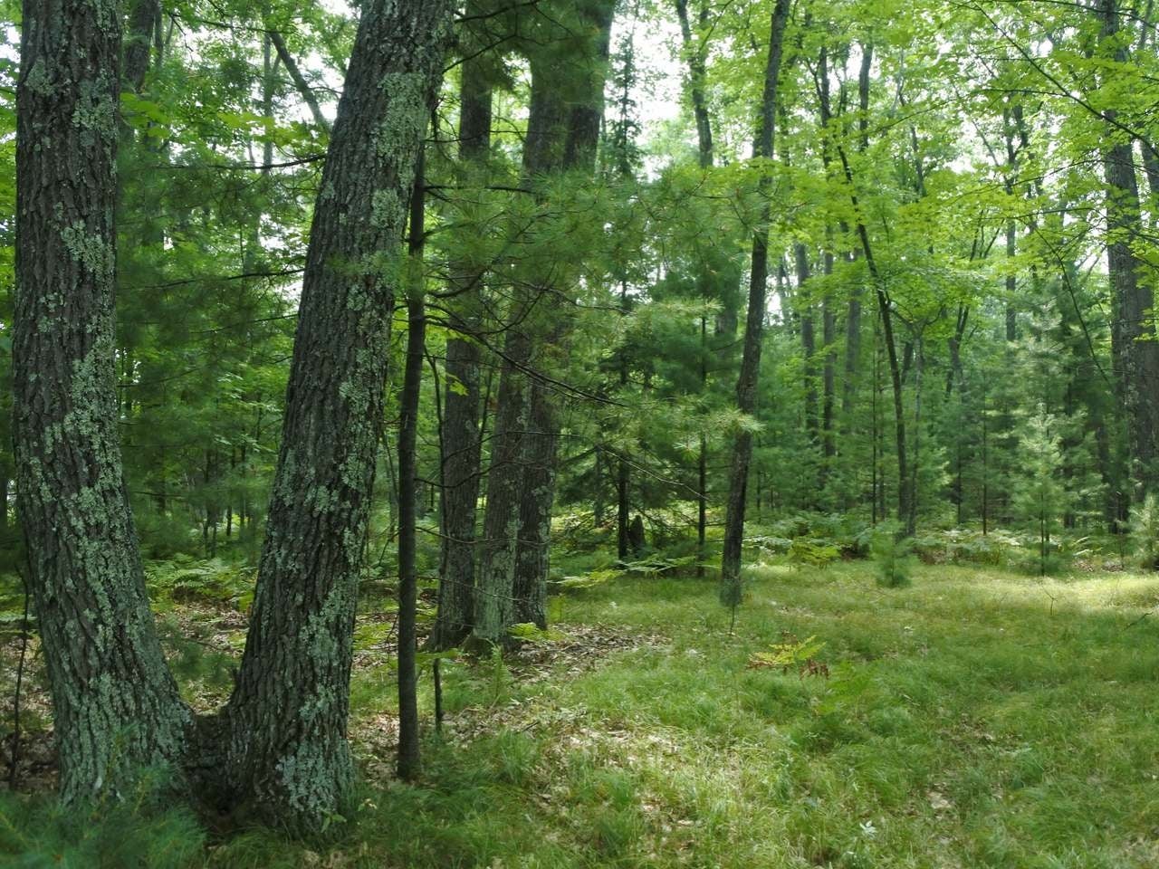 Lot A Egtvedt Road Woodruff, WI 54568 - Photo 28 of 30 Gallery Image 28