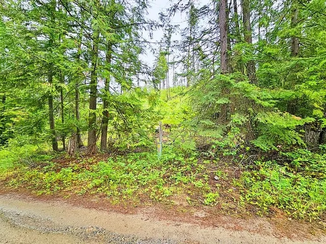 $99,900 | 1895 Tbd Blue Creek Road, Chewelah, WA 99109
