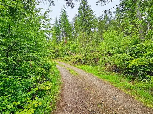 $99,900 | 1895 Tbd Blue Creek Road, Chewelah, WA 99109