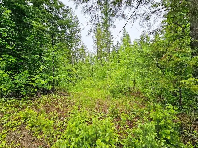 $99,900 | 1895 Tbd Blue Creek Road, Chewelah, WA 99109