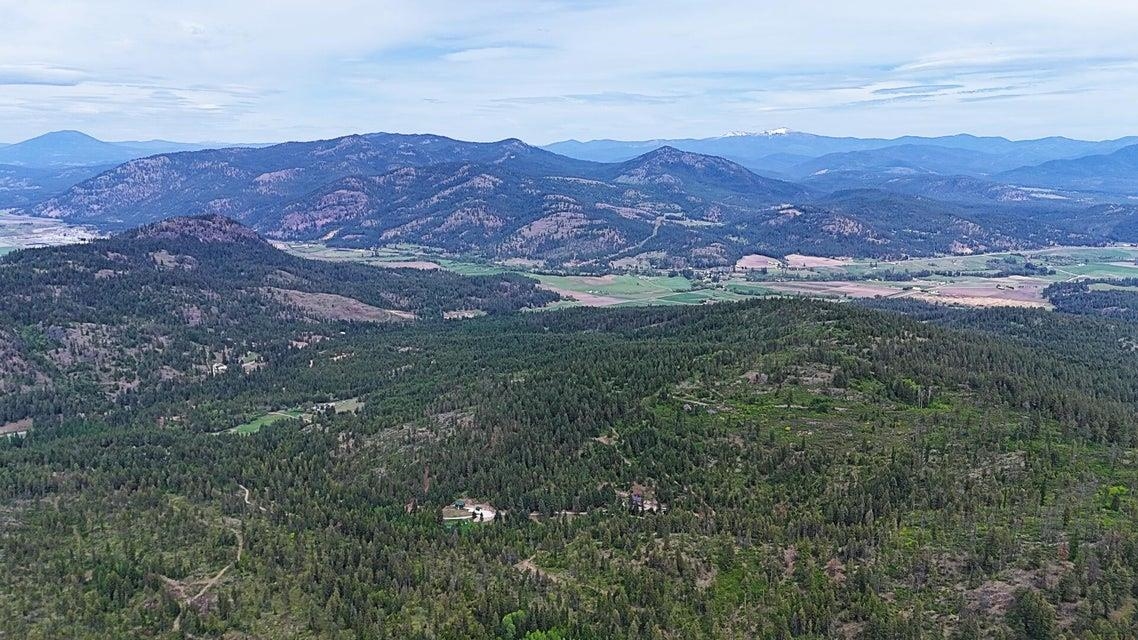 1895 Tbd Blue Creek Road Chewelah, WA 99109 - Photo 17 of 17