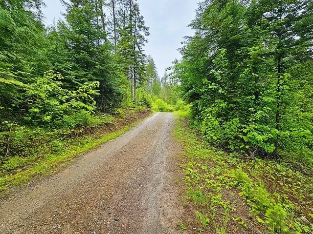 $99,900 | 1895 Tbd Blue Creek Road, Chewelah, WA 99109