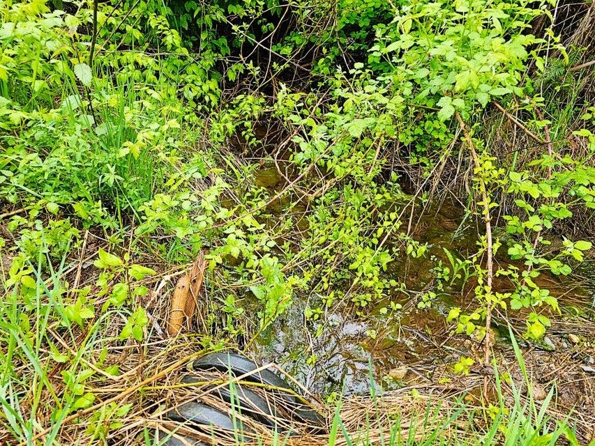 1895 Tbd Blue Creek Road Chewelah, WA 99109 - Photo 6 of 17