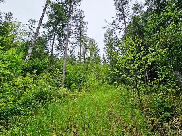 $99,900 | 1895 Tbd Blue Creek Road, Chewelah, WA 99109