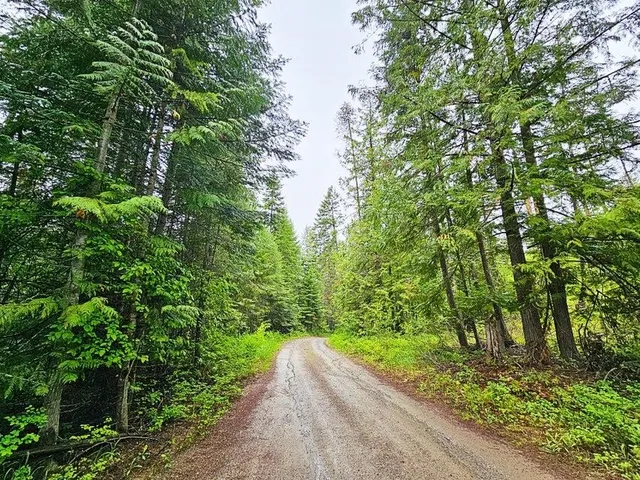 $99,900 | 1895 Tbd Blue Creek Road, Chewelah, WA 99109