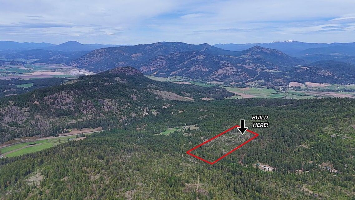 1895 Tbd Blue Creek Road Chewelah, WA 99109 - Photo 10 of 17