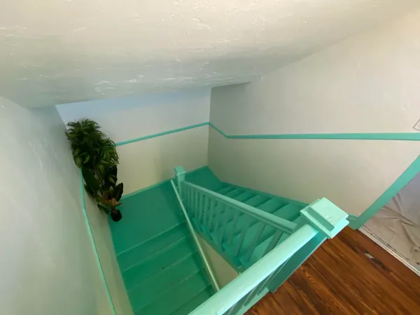 a garden with trees in front of it