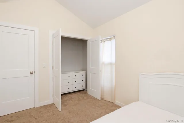 a view of backyard with tree