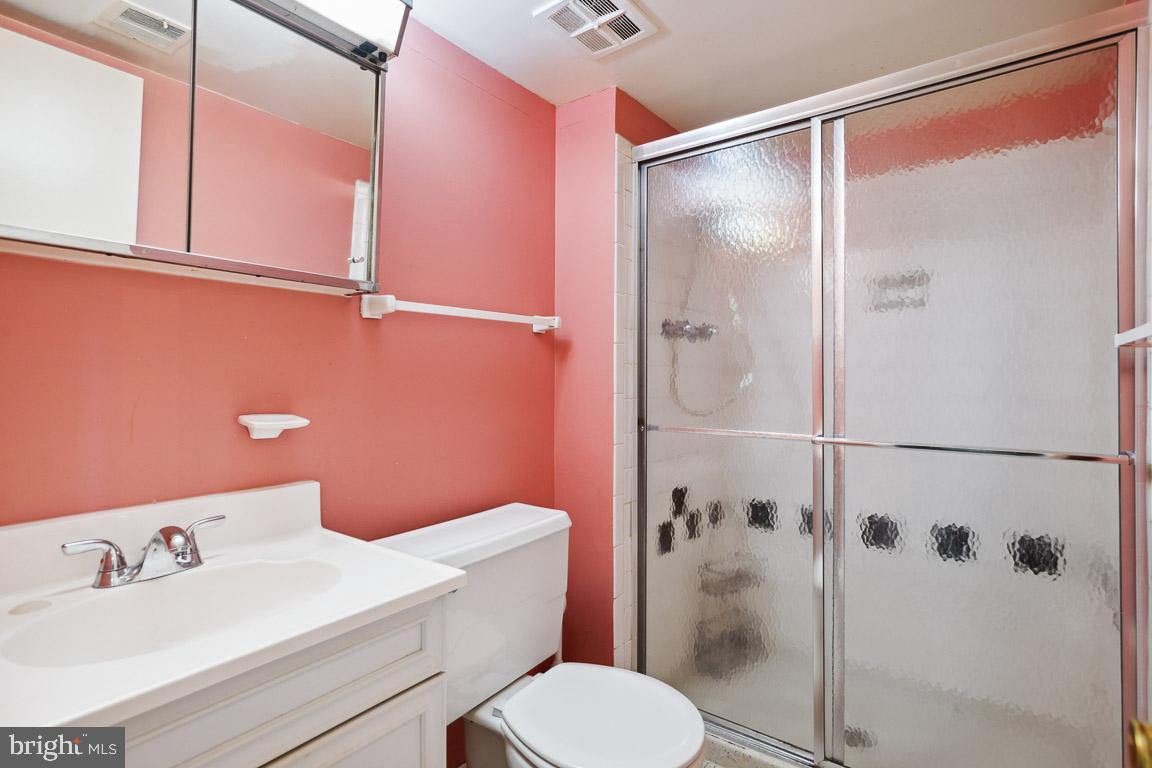 13639 Stepney Lane Chantilly, VA 20151 - Photo 22 of 33 Lower Level Full Bathroom