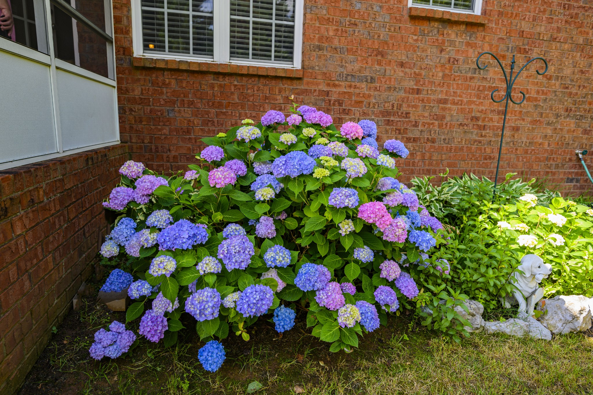 507 Savannah Ridge Murfreesboro, TN 37127 - Photo 35 of 35 Gallery Image 35