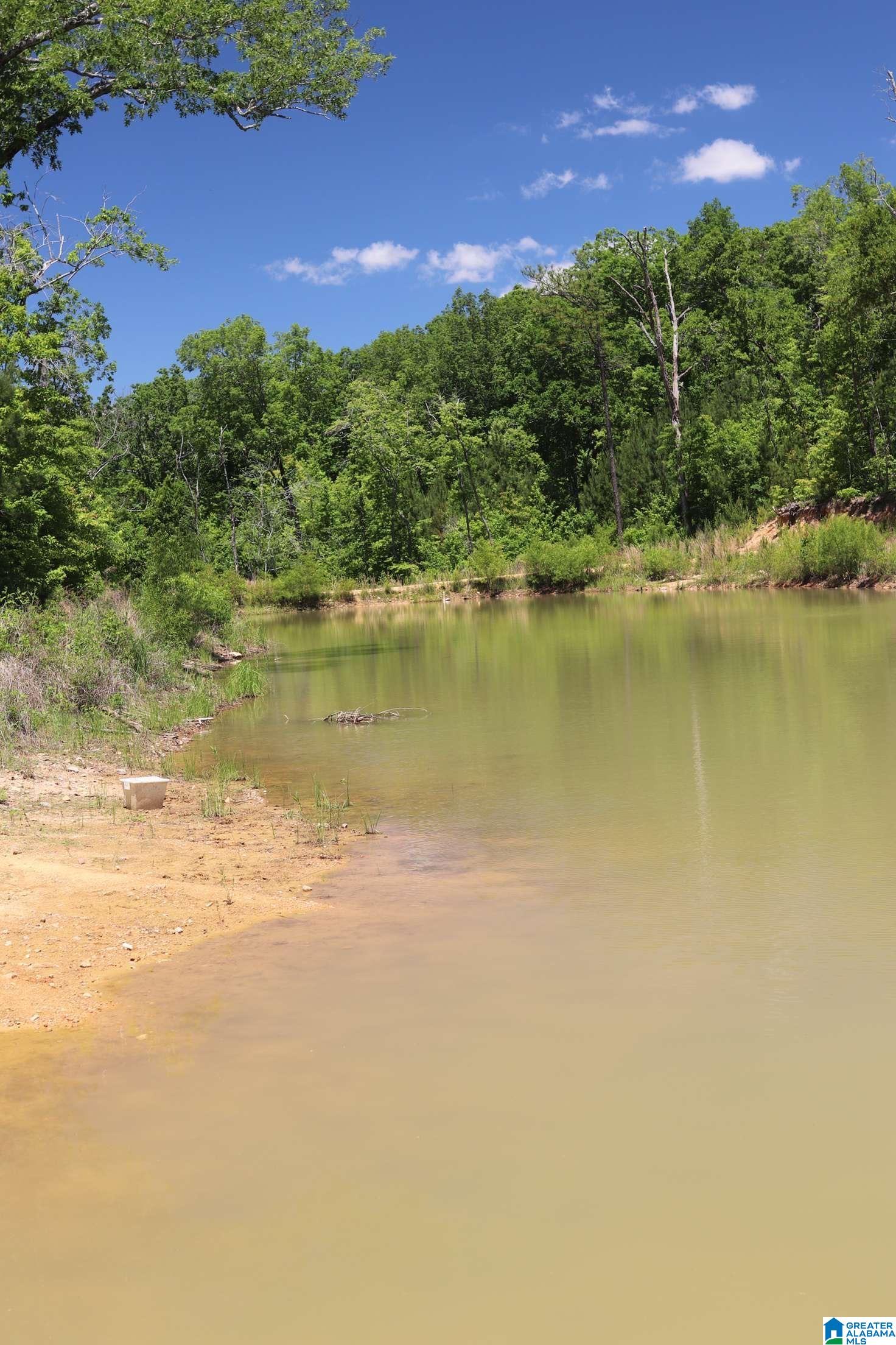 2930 Shocco Springs Road Talladega, AL 35160 - Photo 60 of 93