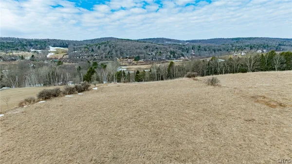 $69,900 | Buck Road, Fly Creek, NY 13337