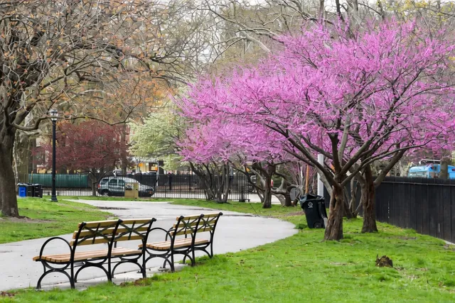a garden view with a seating space