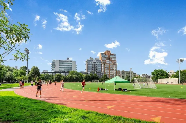 a park with lots of trees and plants